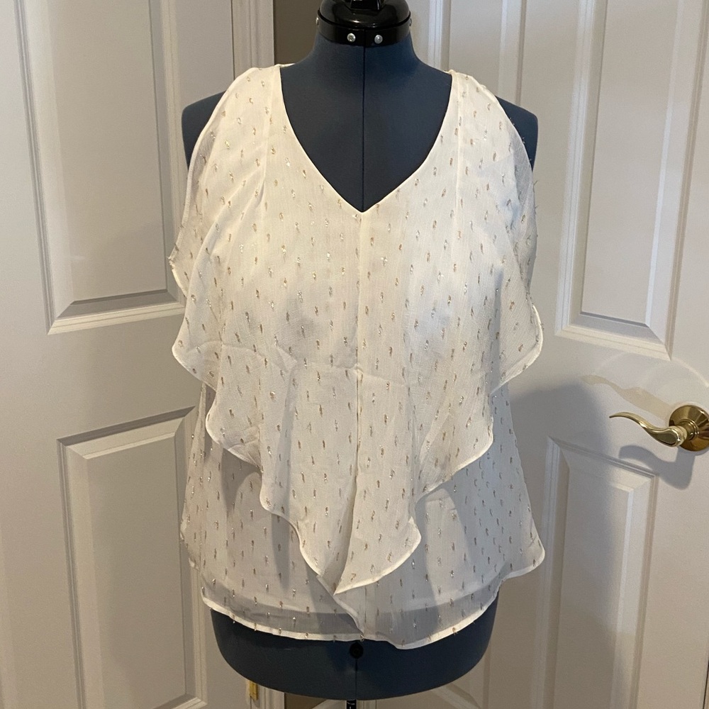 ✨5/$15✨ Sparkly blouse